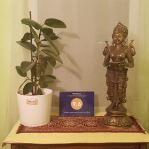 Garden Apartment Donau City PR