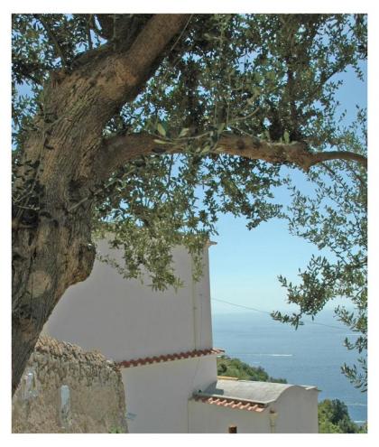Al Poggio Antico - image 1