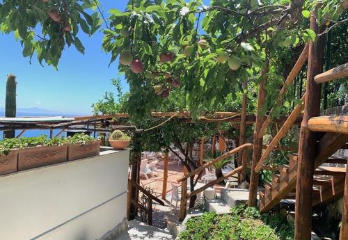 Hotel La Pergola - image 6
