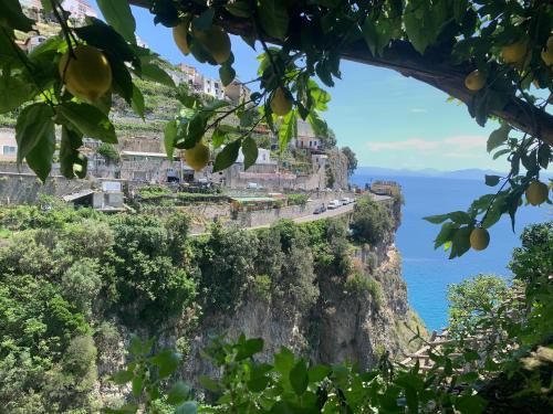 Hotel La Pergola - image 7