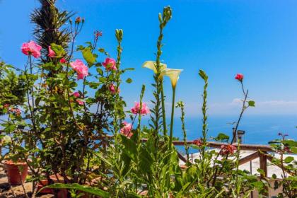 Villa Matilde Amalfi - image 10