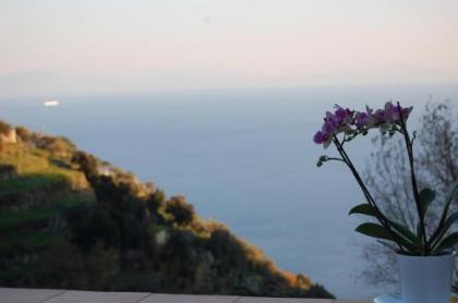 Tenuta Mamma Carmela - image 7
