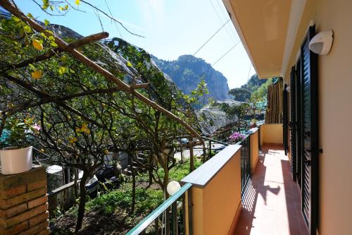 Lemon Garden - image 2