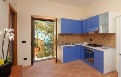 Lemon Garden - image 4