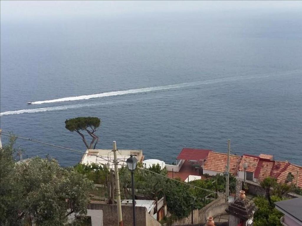 La Pizzerella di Amalfi - image 6
