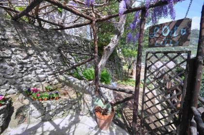 Star Fish House - image 15