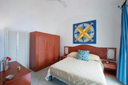 Hibiscus - image 16