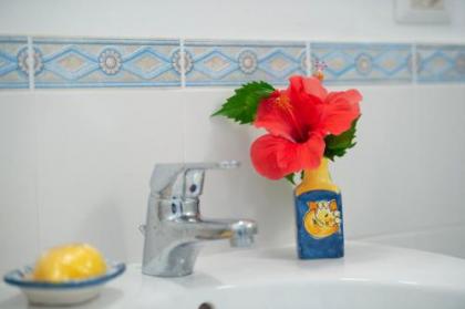 Hibiscus - image 5