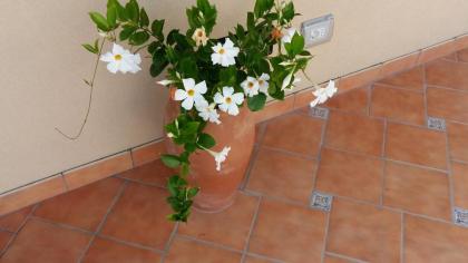 San Giacomo Relais - image 16