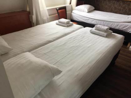 Hotel Amsterdam Inn - image 7