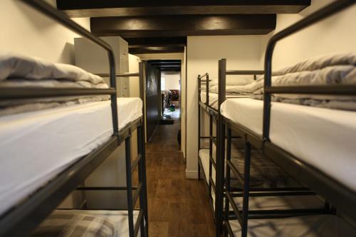 International Budget Hostel City Center - image 3