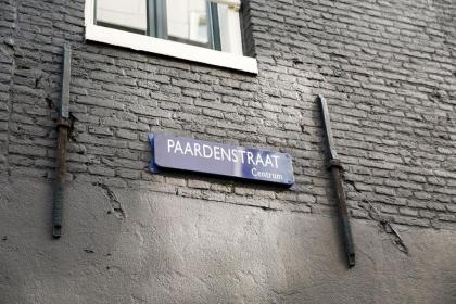 Eden Studios and Apartments - image 4