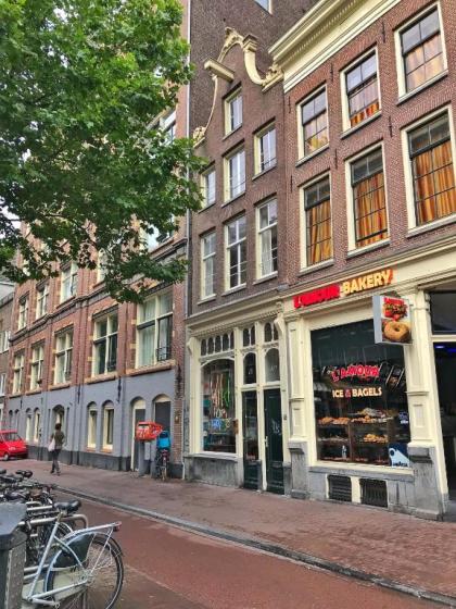 Sunflower Amsterdam - image 8