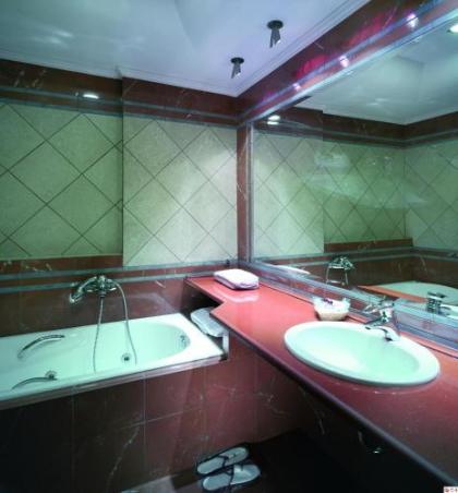 Centrotel Hotel - image 12
