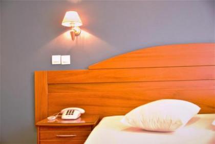 Vienna Hotel - image 2