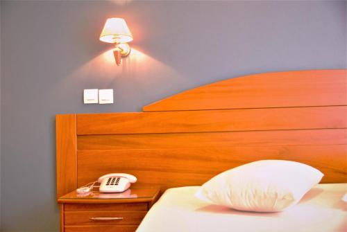 Vienna Hotel - image 2