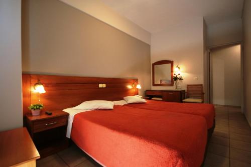 Vienna Hotel - image 5