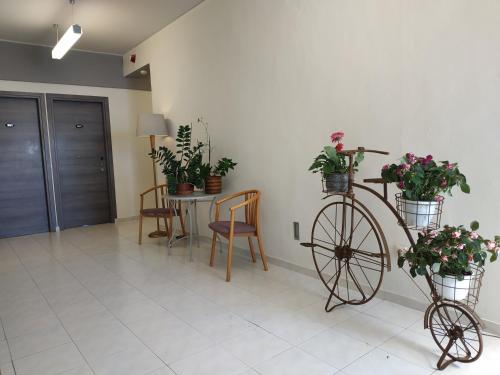 Diros Hotel - image 4
