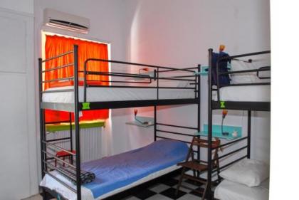 Chameleon Youth Hostel - image 13
