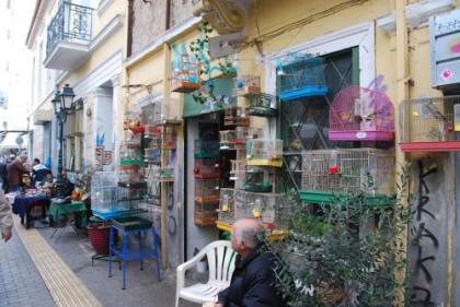 Athens central apartment with Acropolis views! - SQ1 - image 18