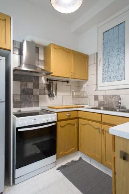 Athens spacious apartment - image 11