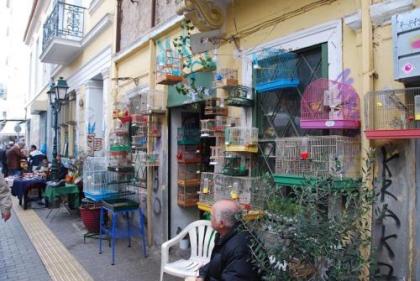 Stylish basement studio in Athens centre - EP9B - image 9