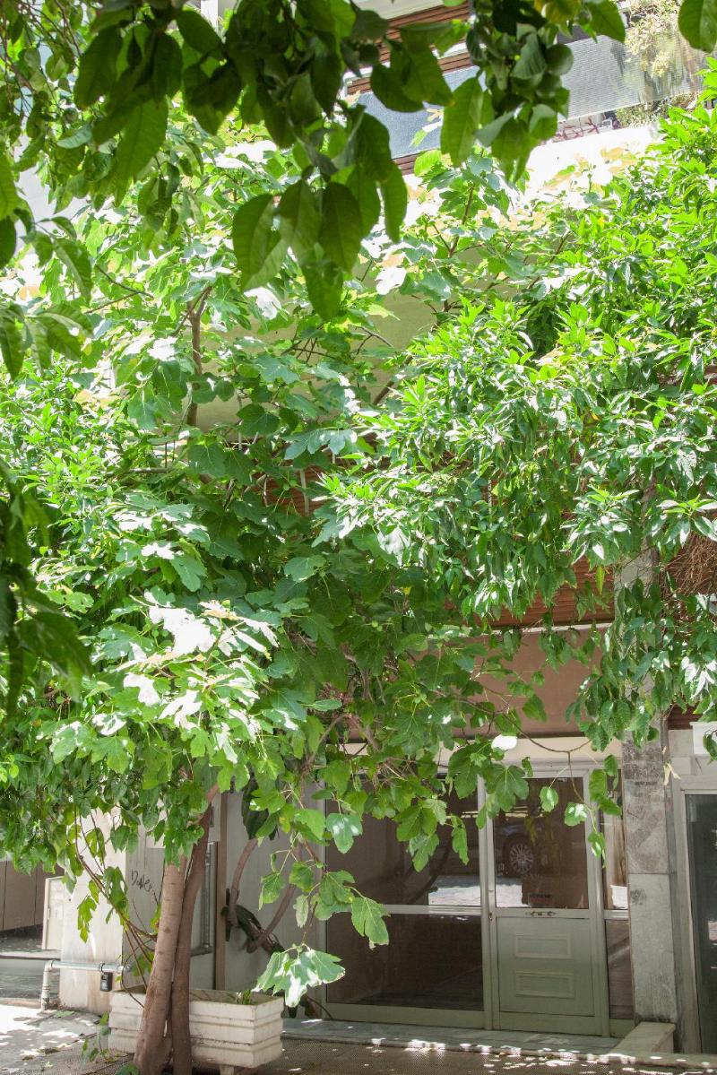 Modern Studio In The Heart Of Kolonaki Athens! - image 3