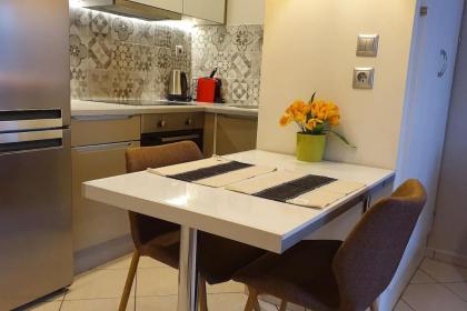Cozy Luxury Apartment in the Heart of Athens 8-1 - image 17