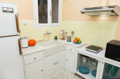 Spacious Gorgeous Aprt DownTown Athens! - image 5