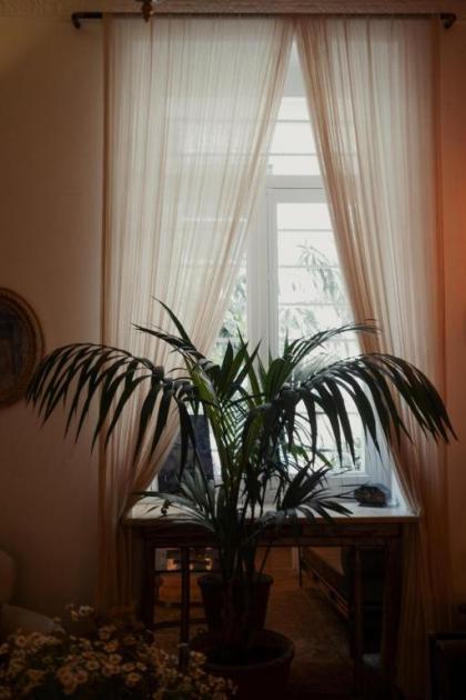 Shila Athens - image 4