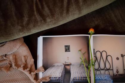 Shila Athens - image 9