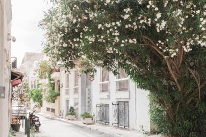 La casa di Plaka - image 17