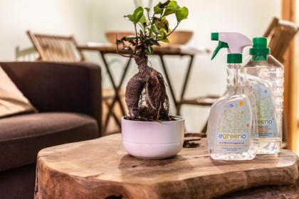Ecoflat in Syntagma Square! - image 2