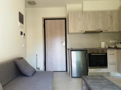 Elvita Apartments 3 - image 12
