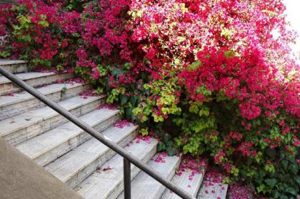 Plues Suites Athens / A - image 8