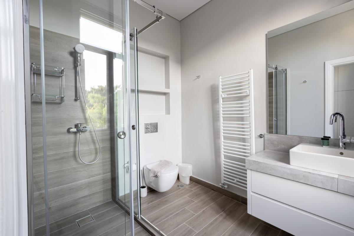 Plaka's Privileged Accommodation - image 6