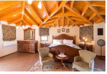 Villa Ariadne - image 3