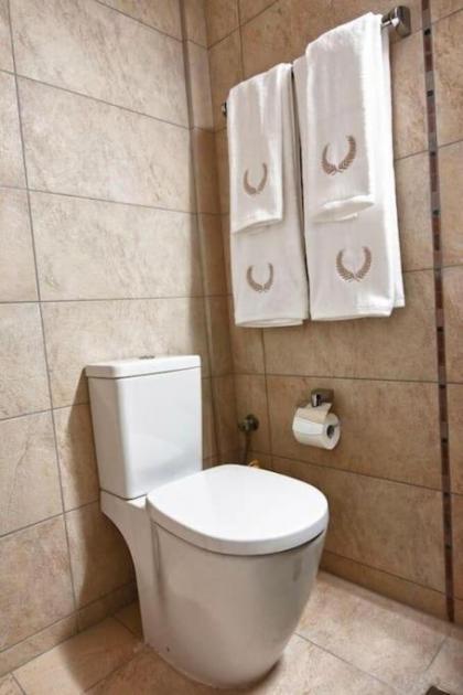 Acropolis Luxury House - image 15