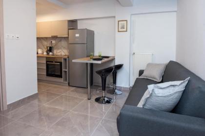 Charming Urban Oasis 1BR Apt near Megaro Mousikis - image 12