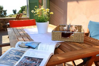 Aegina Colors - image 7