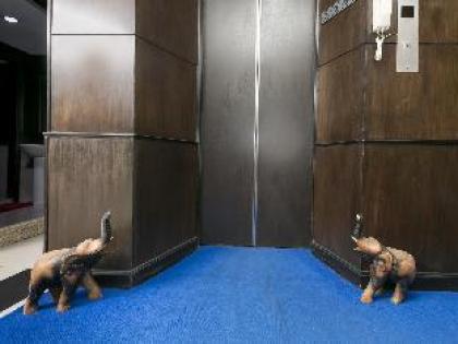 Everest Boutique 8 Inn - image 8