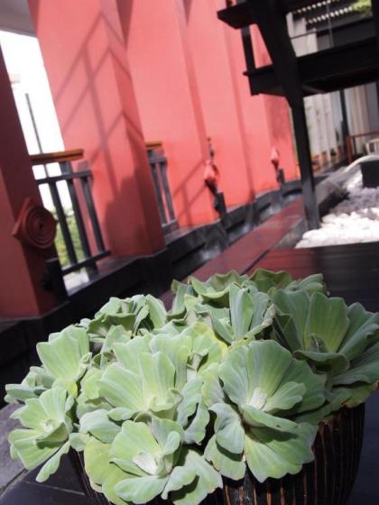 LoogChoob Homestay - image 18