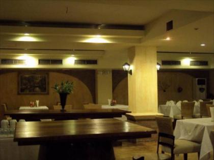 Sapphire Hotel - image 13