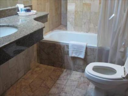 Sapphire Hotel - image 4