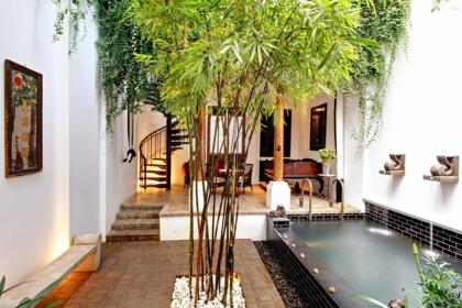 The Siam - image 13