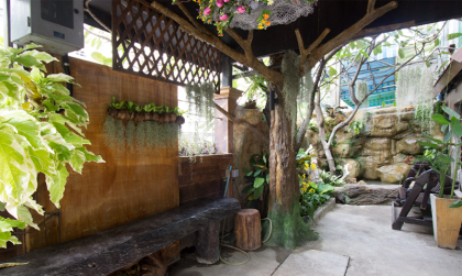 Kaya Place - image 13