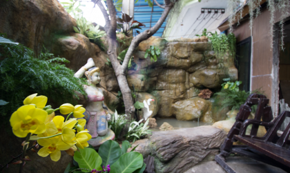 Kaya Place - image 19