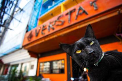 The Overstay Art Hostel (Pet-friendly)