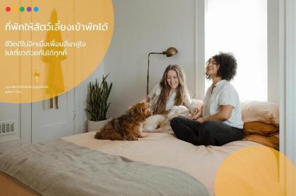 The Overstay Art Hostel (Pet-friendly) - image 18
