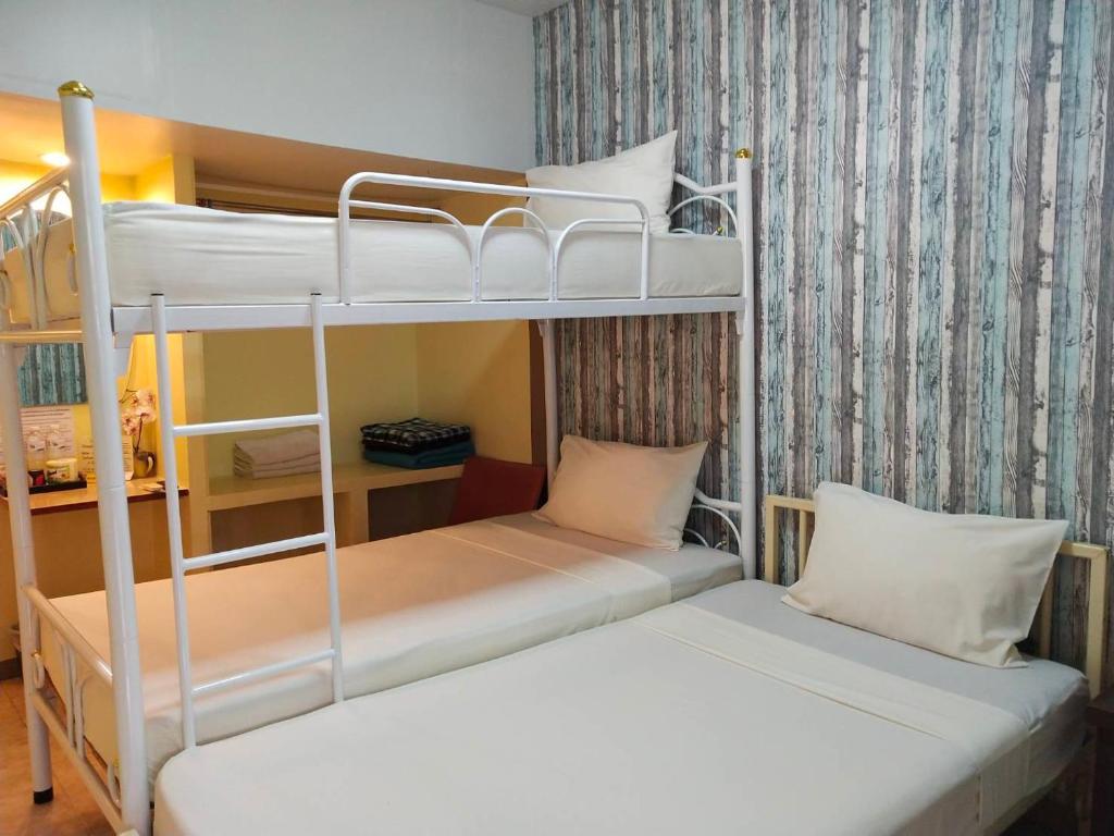 Steve Lady Hostel - image 2
